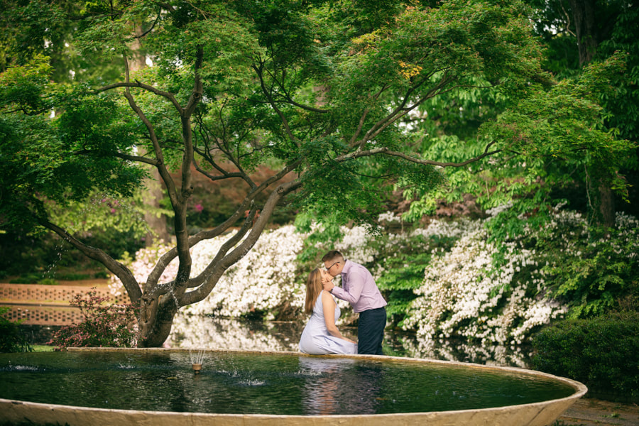 Glencairn Garden is a Botanical garden in Rock Hill, SC