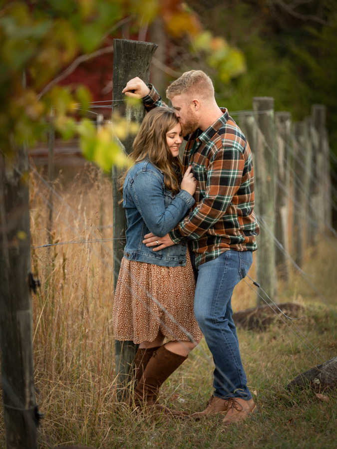 Stony Mountain Vineyards 26370 Mountain Ridge Rd, Albemarle, NC 28001